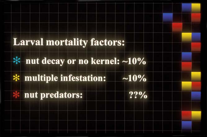 Larval mortality factors: nut decay / missing kernel, multiple infestation, nut predators