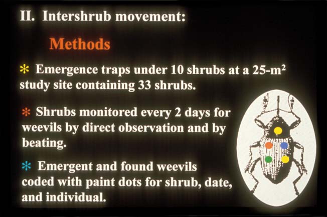 Intershrub movements: Methods