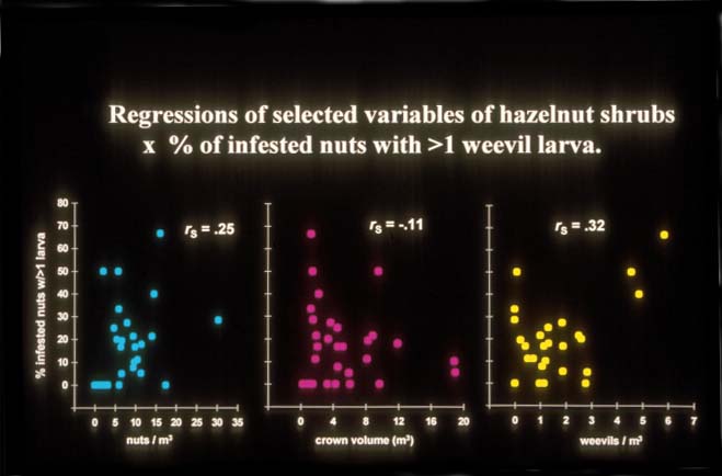 Graphs: Regressions of selected variables of 33 hazelnut shrubs x % of infested nuts with >1 weevil larvae