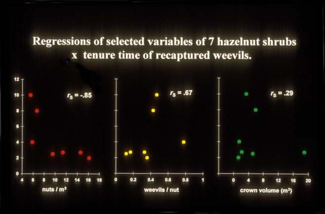 Graphs: Regressions of selected variables of 7 hazelnut shrubs x tenure time of recaptured weevils. Y-axis = no. days on same shrub