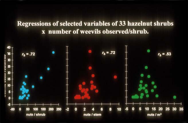 Graphs: Regressions of selected variables of 33 hazelnut shrubs x number of weevils observed/shrub