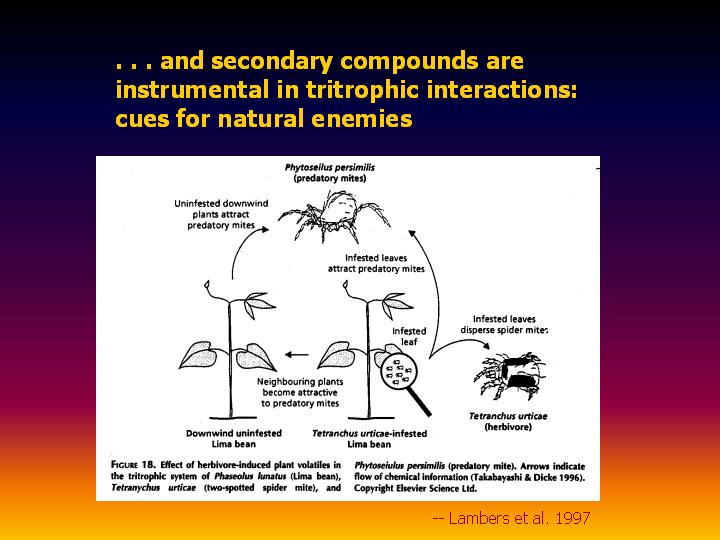 secondary compounds are instrumental in tritrophic interactions: cues for natural enemies